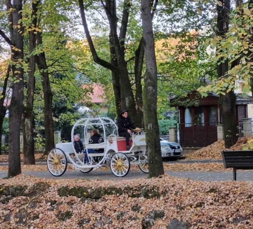 Apolon Spa Врнячка-Баня Экстерьер фото